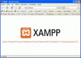 /album/fotogaleria/xampp-funcionando-gif/