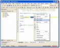 /album/fotogaleria/rapid-php-editor-3-jpg/